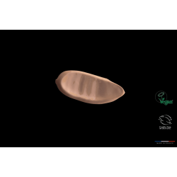 فلوكسيا مستحلب واقي من الشمس ملون حماية عالية لجميع أنواع البشرة | 50 مل فلوكسيا مستحلب واقي من الشمس ملون حماية عالية لجميع أنواع البشرة | 50 مل